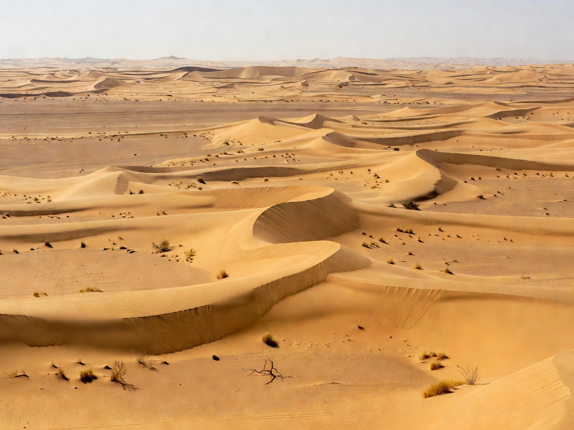 Arid desert dunes showing landscape with zero natural permanent rivers